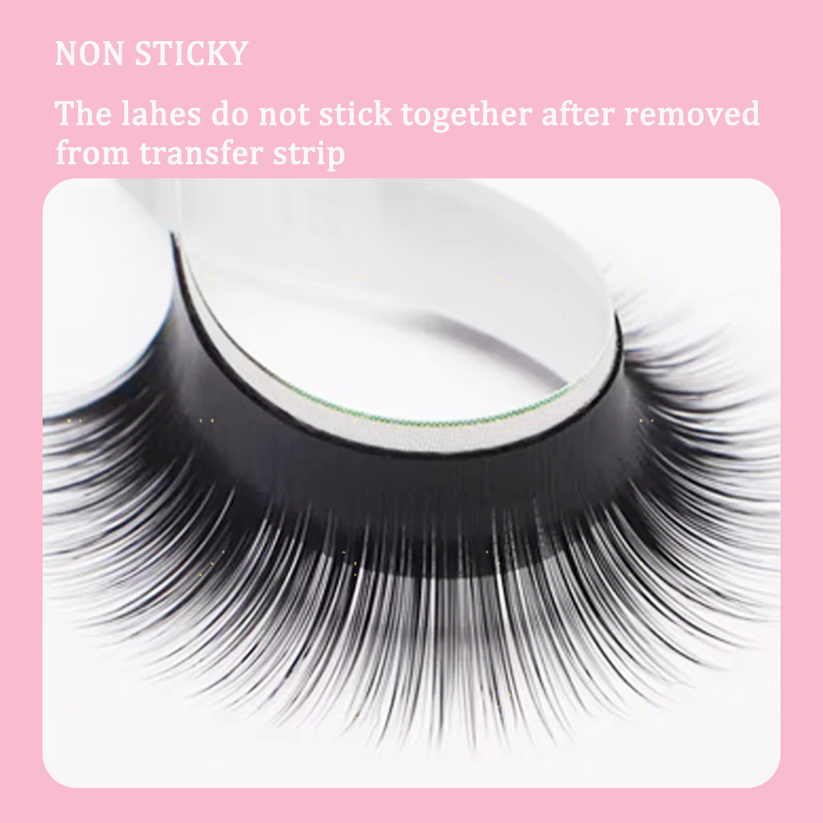 Camellia False Eyelashes LC LB - Eyelash Extension Wet Look recensione e prezzo