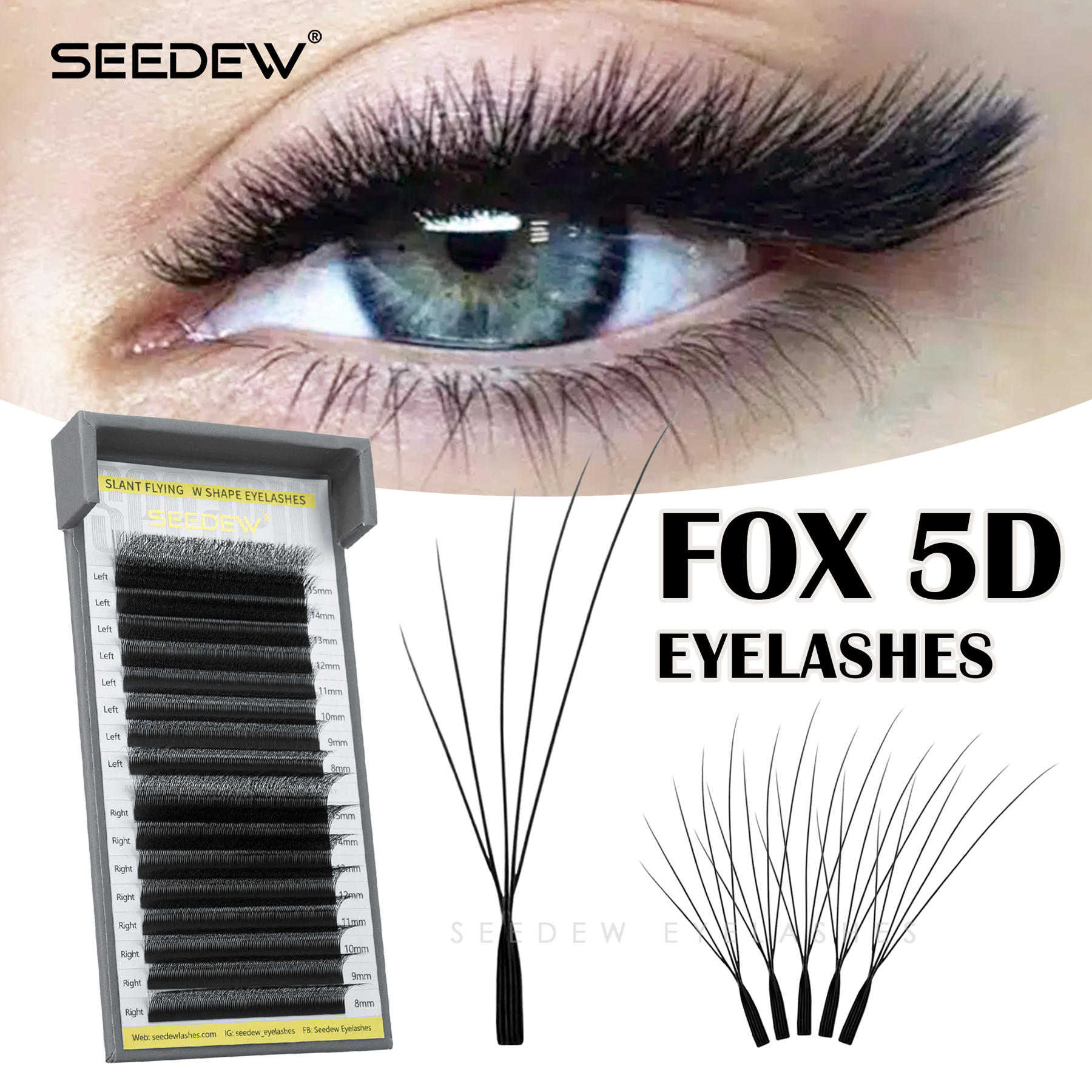 SEEDEW Fox 5D Eyelash Extensio - Eyelash Extension Yy recensione e prezzo