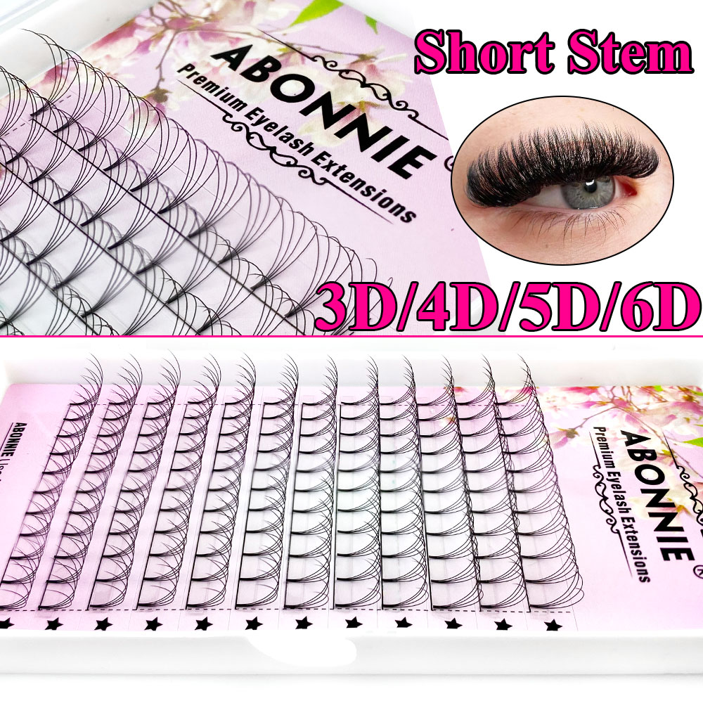 Abonnie 6D Narrow Fan Premade  - Eyelash Extension Course recensione e prezzo